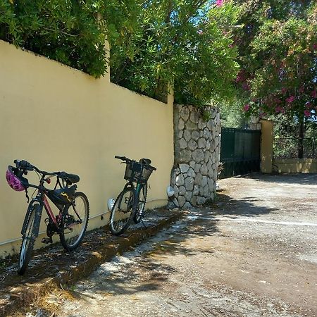 Olea Home Ajía Pelajía Hlomú Kültér fotó