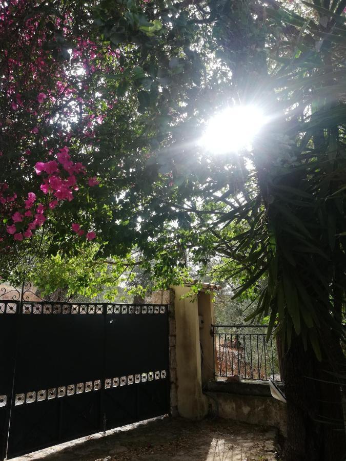 Olea Home Ajía Pelajía Hlomú Kültér fotó