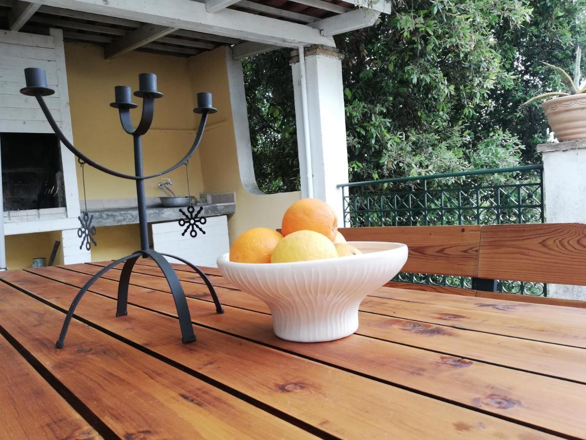 Olea Home Ajía Pelajía Hlomú Kültér fotó