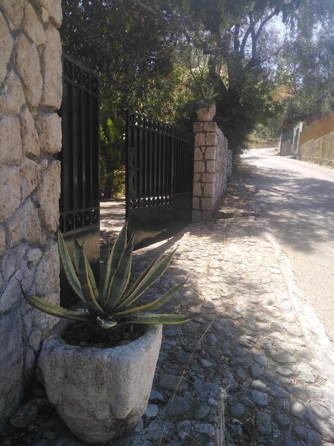 Olea Home Ajía Pelajía Hlomú Kültér fotó