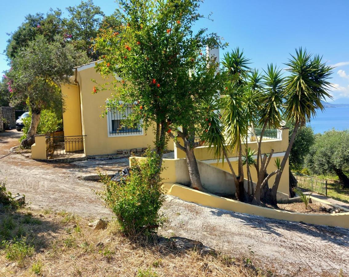 Olea Home Ajía Pelajía Hlomú Kültér fotó